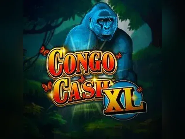 Congo Cash XL